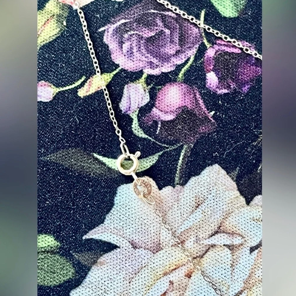 🆕 925 Sterling Silver Dream & Inspire Set of 2 Necklaces